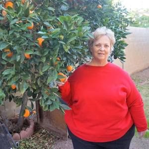 Meet your Posher, Shelby